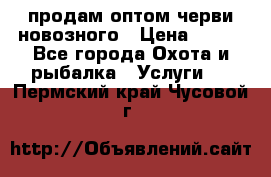 продам оптом черви новозного › Цена ­ 600 - Все города Охота и рыбалка » Услуги   . Пермский край,Чусовой г.